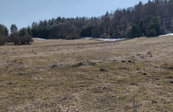 Парцел в с. Белчин